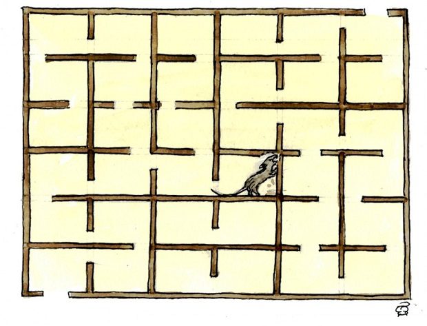 original-5127217