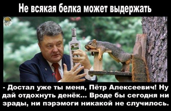 original-4167813