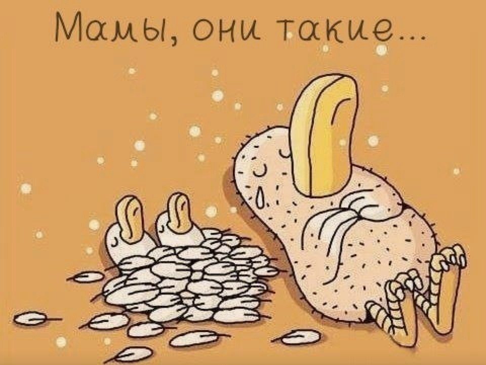 original-1483745