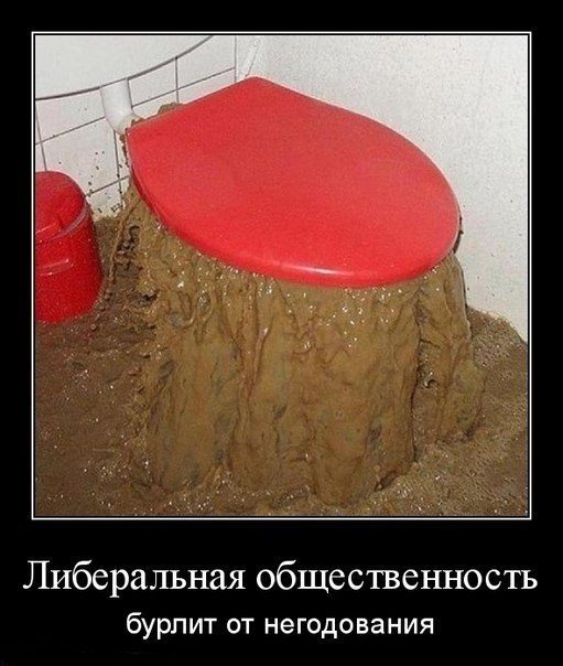 original-3506404