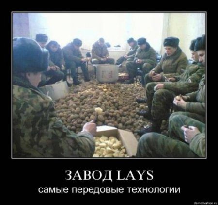 original-4549165