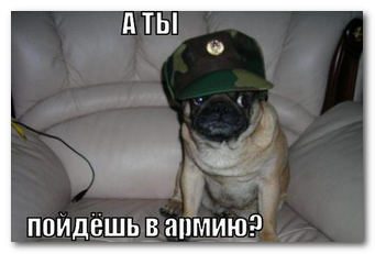 original-7936660