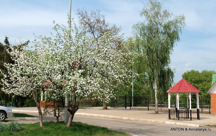 original-5456093