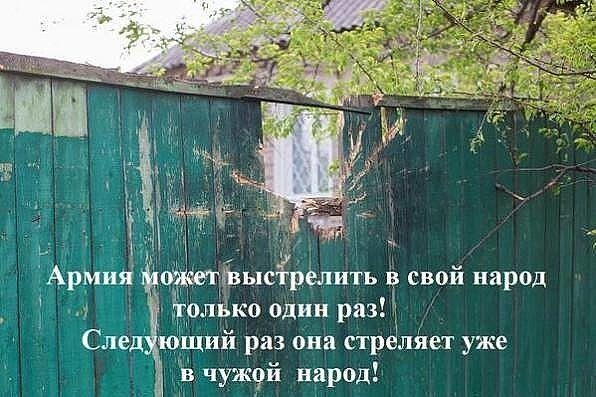original-5723209