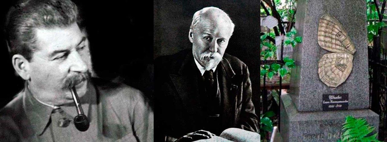 Сталин, бабочки и танки