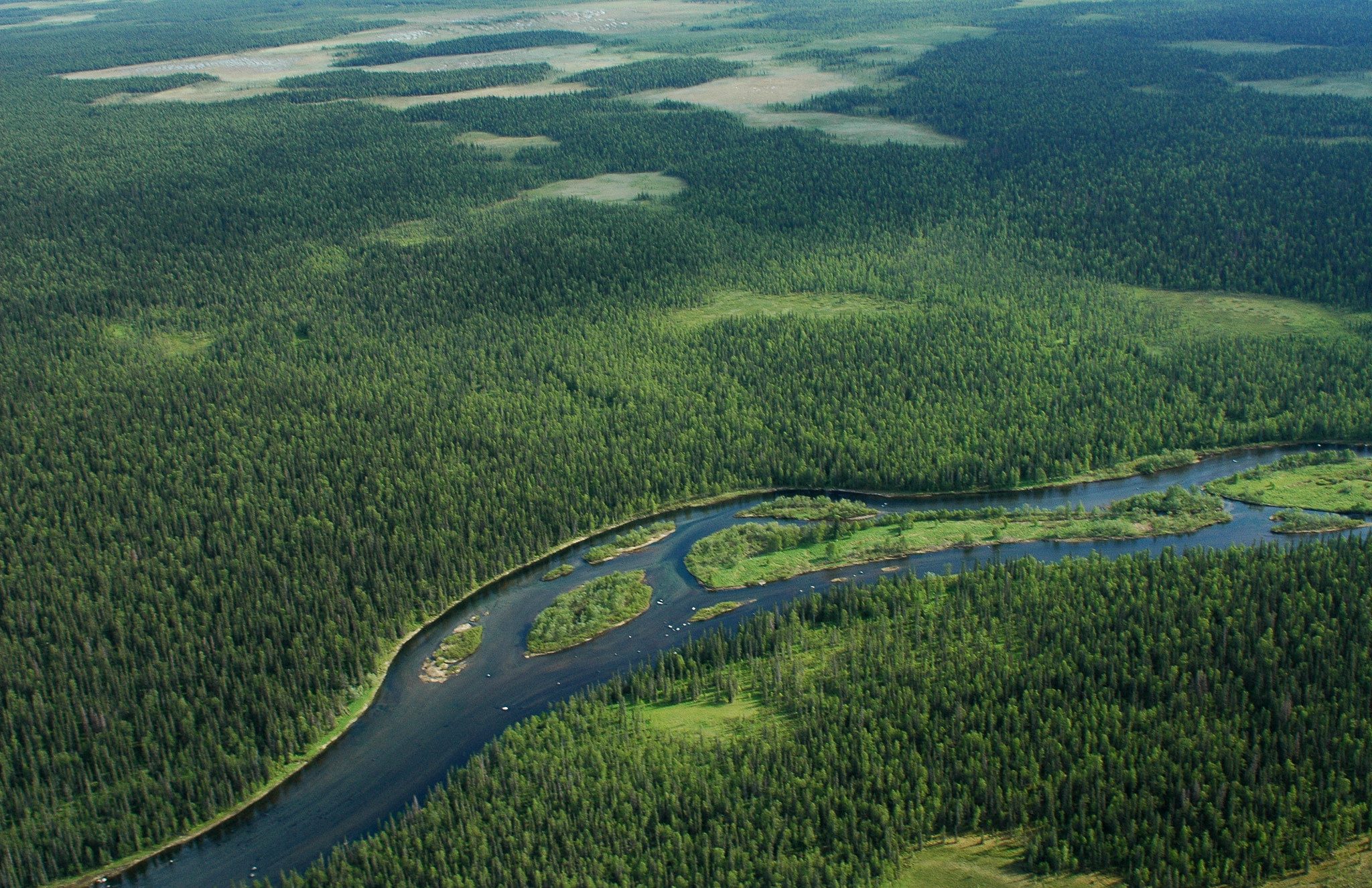 2d0300d0a4999ff5ea74a7b77061b546-1602542