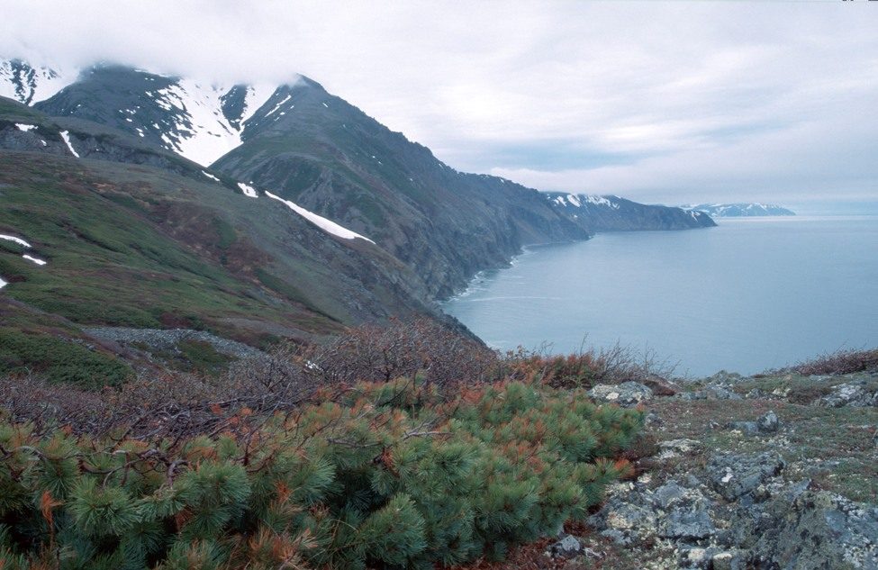 coastal-tundra-at-okhotsk-sea-eastern-siberia-russia-2