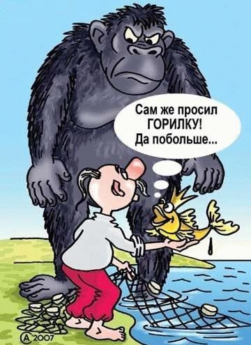 original-5241749