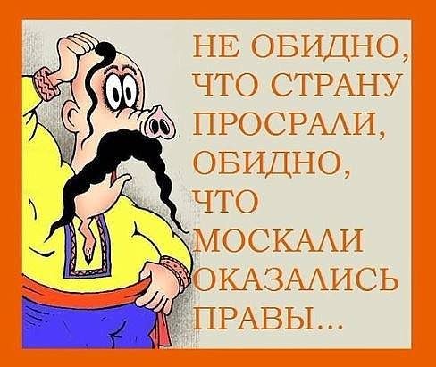 original-8466165