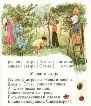 original-5442839