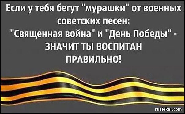 original-6802744