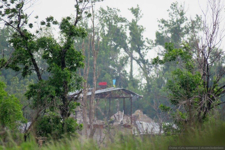 original-7006343