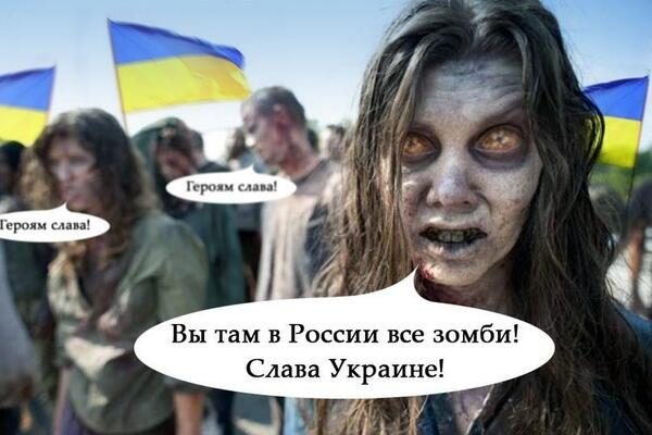 original-4779368