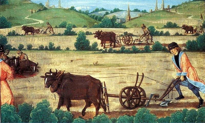 original-5183366