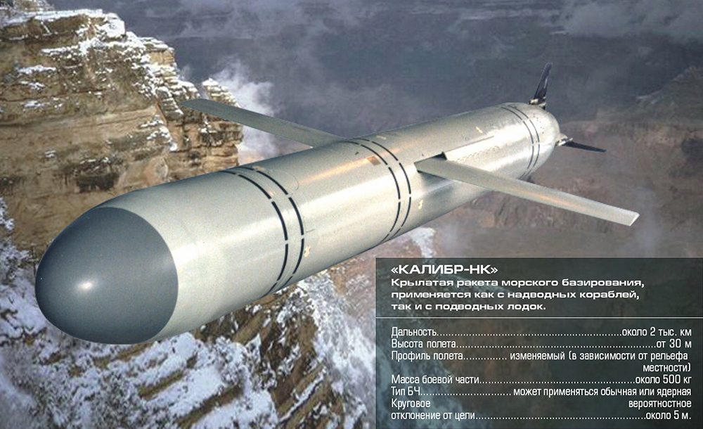 Шойгу доложил Путину об ударах «Калибрами» по объектам ИГ в Сирии