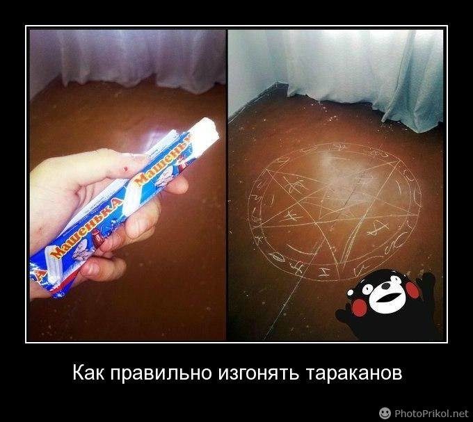 Куда делись тараканы из российских квартир