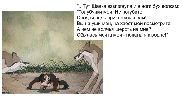 original-4705267