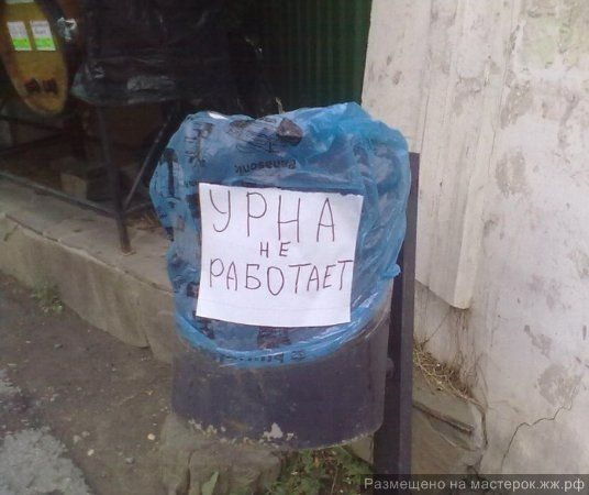 original-2246902