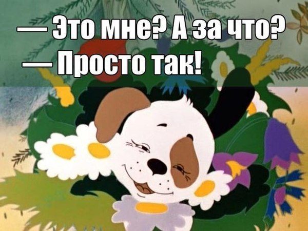 original-7929814